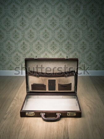 Vintage портфель открытых кожа детектив Hat Сток-фото © stokkete
