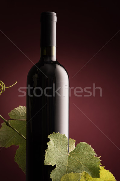 Rew wine bottle with vine branch Stock photo © stokkete