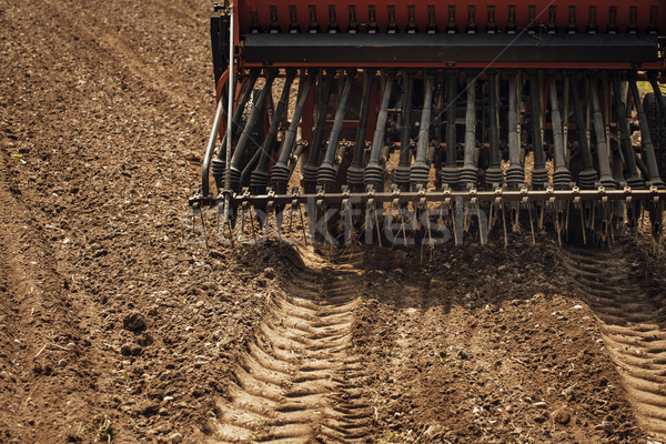Tractor domenii muncă însorit vară zi Imagine de stoc © stokkete