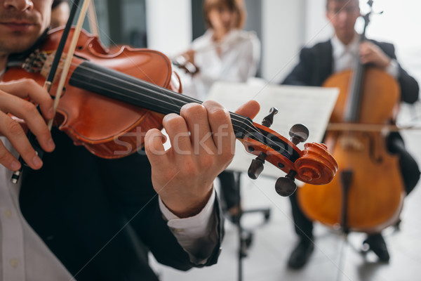 Stock photo: Violinist performing on stage with orchestra