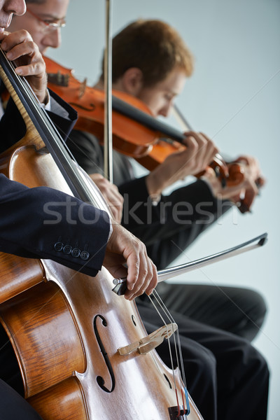 классическая музыка концерта виолончелист скрипач играет мужчин Сток-фото © stokkete
