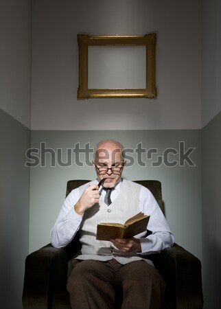 Professor reading in armchair Stock photo © stokkete