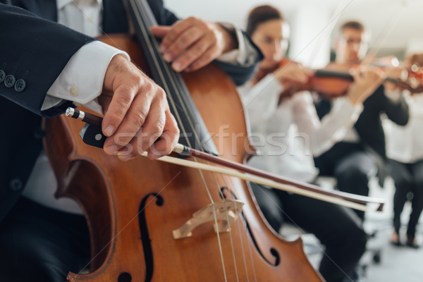 Cello player's hands close up Stock photo © stokkete