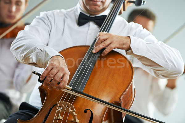 Klasszikus zene koncert csellista hegedűművész játszik férfiak Stock fotó © stokkete