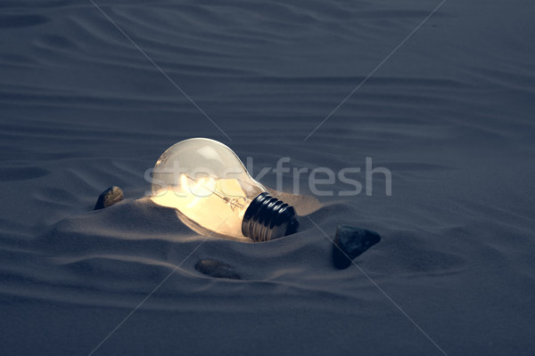 Erkenntnis neue Ideen Glühlampe Wüste dunkel Stock foto © stokkete