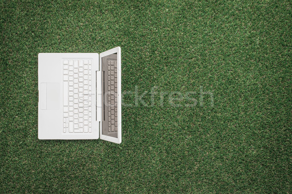 Foto d'archivio: Laptop · erba · tecnologia · comunicazione · ambiente · top