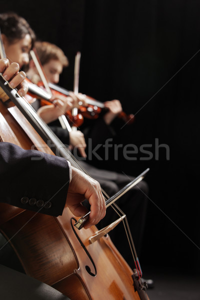 Muzica clasica concert simfonie om joc violoncel Imagine de stoc © stokkete