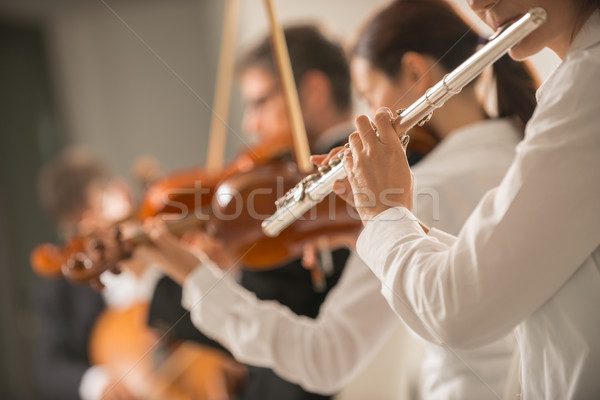 профессиональных флейта игрок женщины играет Сток-фото © stokkete