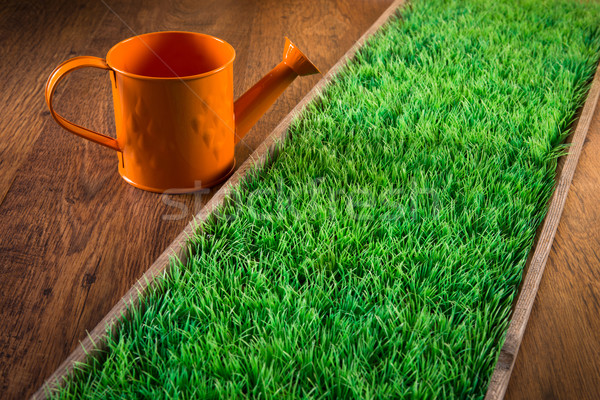 Gartenarbeit drinnen orange Hand Sprinkler grünen Stock foto © stokkete