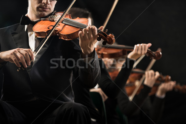 Violin orchestra performing Stock photo © stokkete