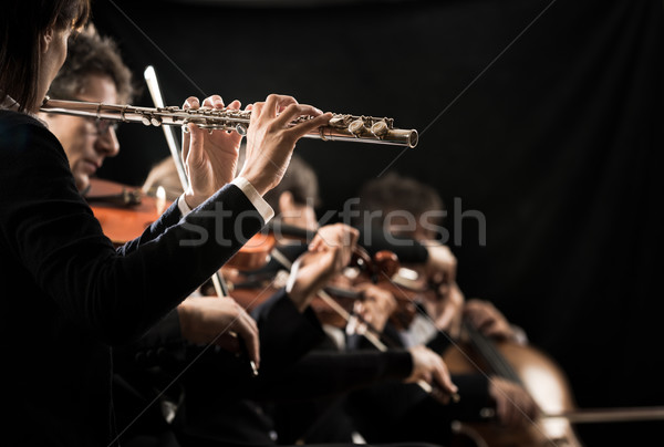 Música clássica concerto feminino orquestra Foto stock © stokkete