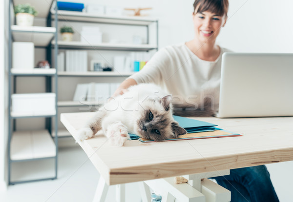 Femme chat jeune femme maison travail bureau [[stock_photo]] © stokkete