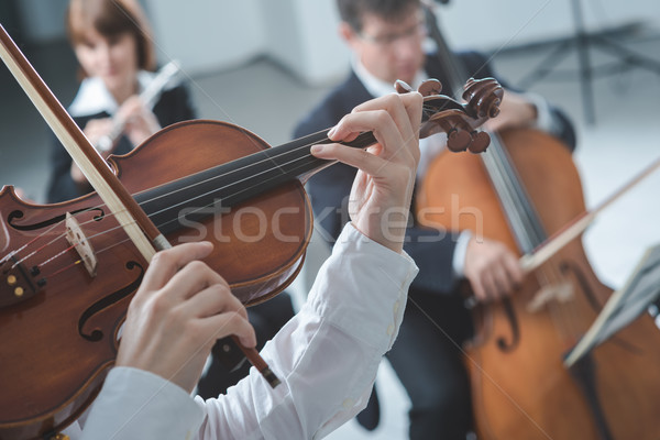 Klasszikus zenekar fonal részleg előad klasszikus zene Stock fotó © stokkete