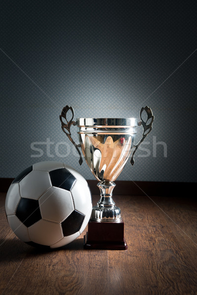 Fútbol campeonato taza oro trofeo balón de fútbol Foto stock © stokkete