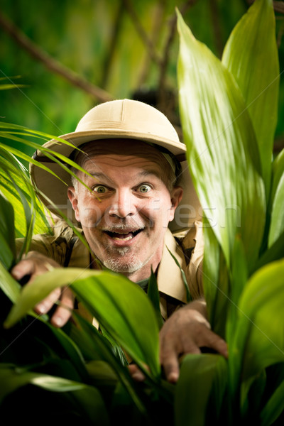Explorer Regenwald Dschungel überrascht Abenteurer Pflanzen Stock foto © stokkete