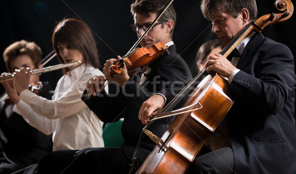 Muzica clasica concert simfonie orchestră etapă violoncel Imagine de stoc © stokkete