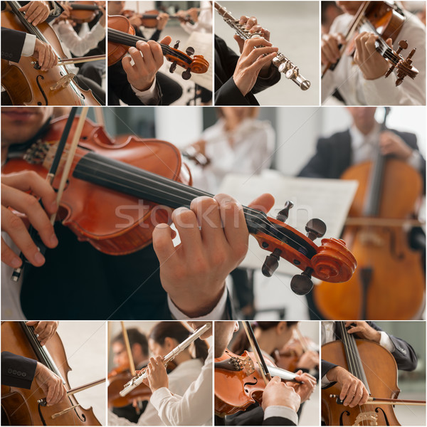 Musique classique collage photos professionnels musiciens jouer Photo stock © stokkete
