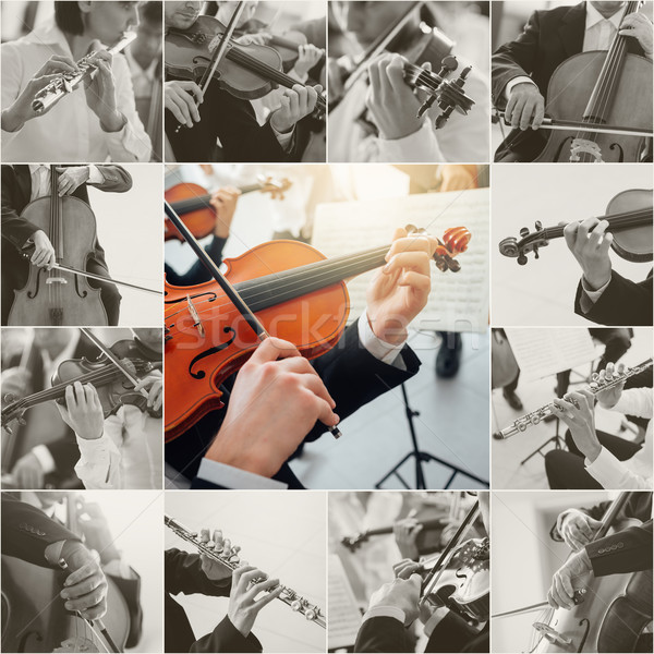 Klassische Musik Collage Bilder professionelle Musiker spielen Stock foto © stokkete