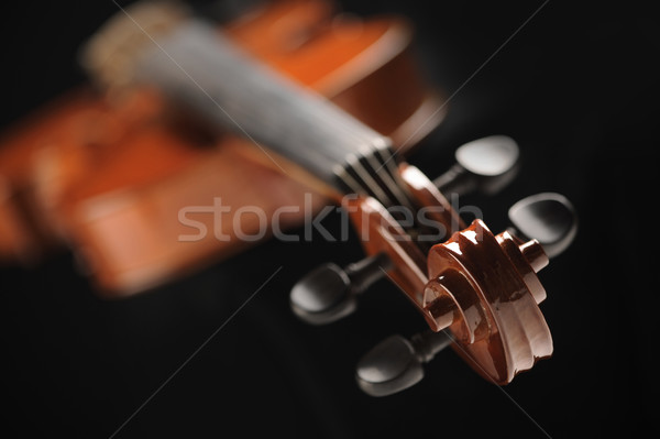 關閉 射擊 小提琴 淺 深 場 商業照片 © stokkete