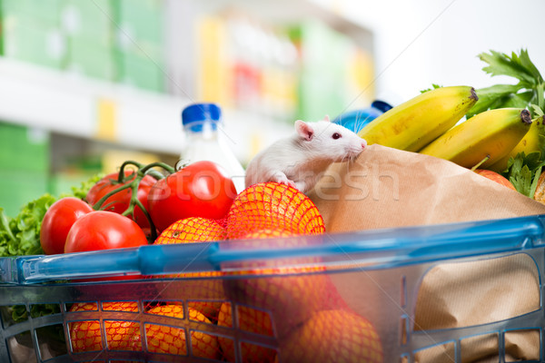 Cute muis vol winkelwagen witte verse groenten Stockfoto © stokkete