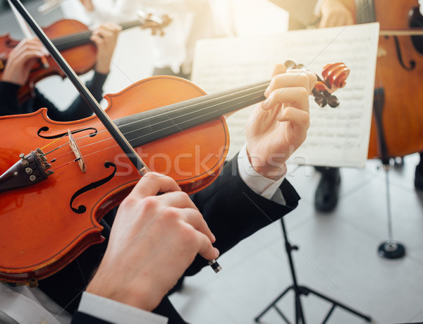 Violinist performing with music sheet Stock photo © stokkete