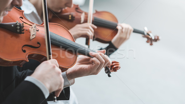 Foto stock: Violino · atuação · dois · juntos · mãos