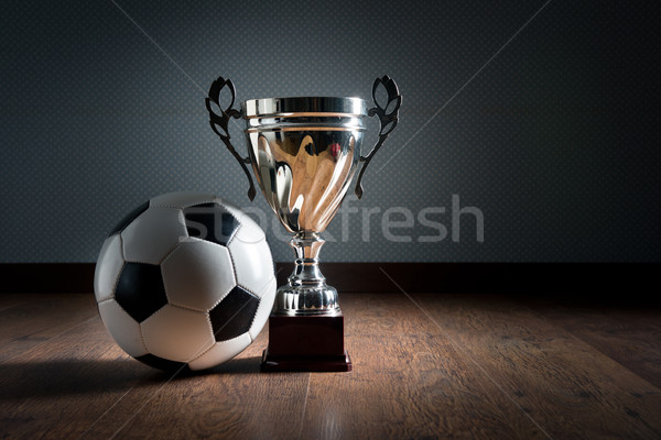 Foto stock: Fútbol · campeonato · taza · oro · trofeo · balón · de · fútbol