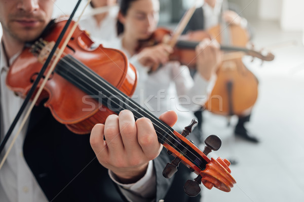 Orquestra corda seção música clássica sinfonia Foto stock © stokkete
