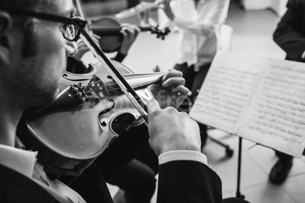 Hegedűművész előad zene lap játszik hangszer Stock fotó © stokkete