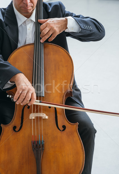 Zawodowych wiolonczelista gry dokumentu mężczyzna wiolonczela Zdjęcia stock © stokkete