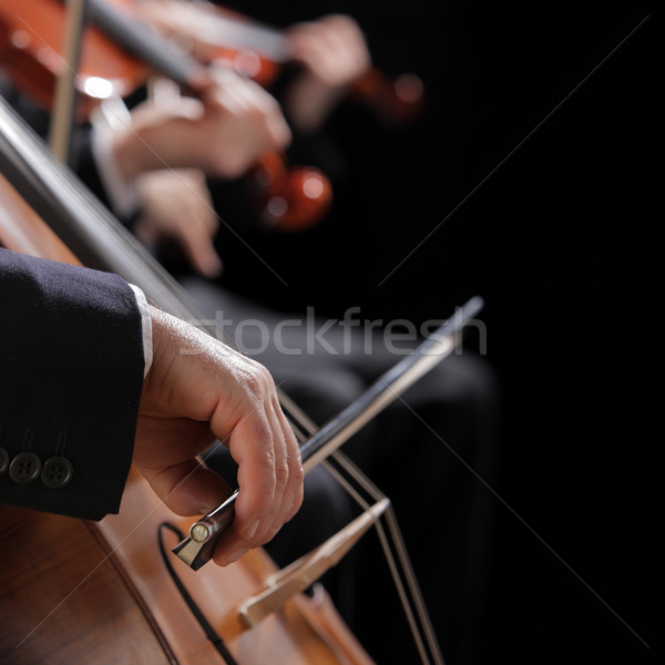 Klasszikus zene koncert szimfónia férfi játszik cselló Stock fotó © stokkete