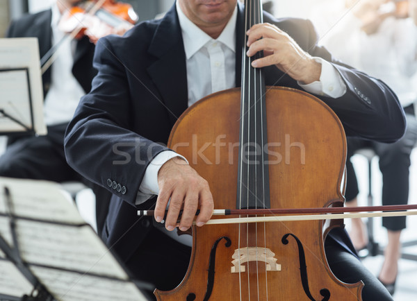 Profesional cello jugador realizar otro músicos Foto stock © stokkete