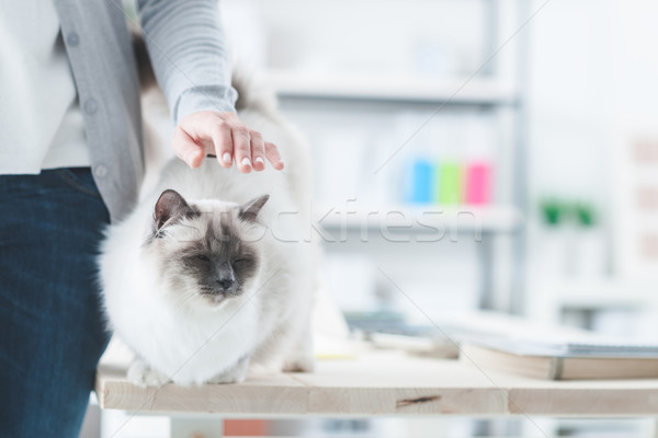Nő macska otthon asztal szoba belső Stock fotó © stokkete