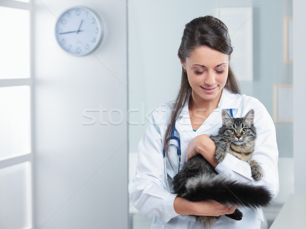 Sănătos pisică portret zâmbitor femeie medicul veterinar Imagine de stoc © stokkete