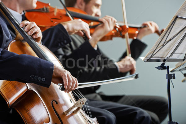 Muzyka klasyczna koncertu wiolonczelista skrzypek gry mężczyzn Zdjęcia stock © stokkete