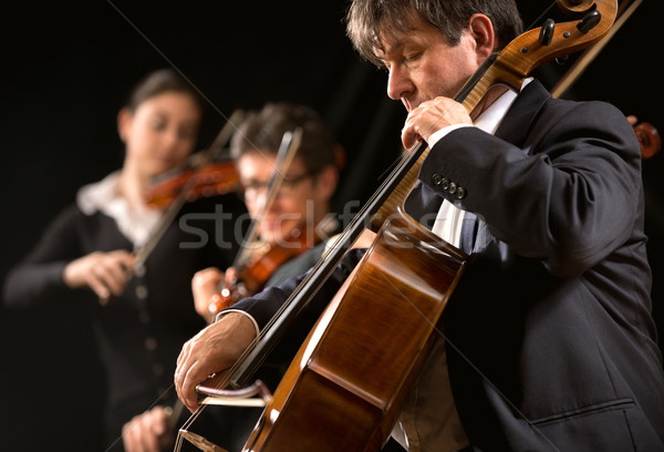 Szimfónia zenekar előadás közelkép cselló profi Stock fotó © stokkete