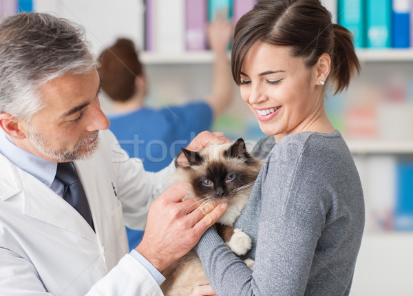 Veteriner kedi sahipleri silah evcil hayvan bakımı Stok fotoğraf © stokkete