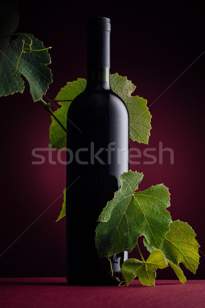 Weinflasche Reben Zweig ausgezeichnet Rotwein Flasche Stock foto © stokkete