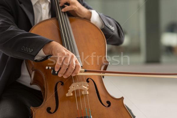 Profi csellista előad klasszikus zene cselló játékos Stock fotó © stokkete