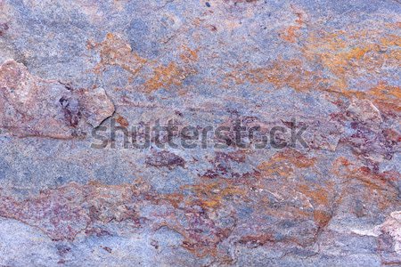 Surface of  stone Stock photo © stoonn