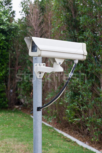 Stock fotó: Cctv · kamera · park · természet · technológia · háttér