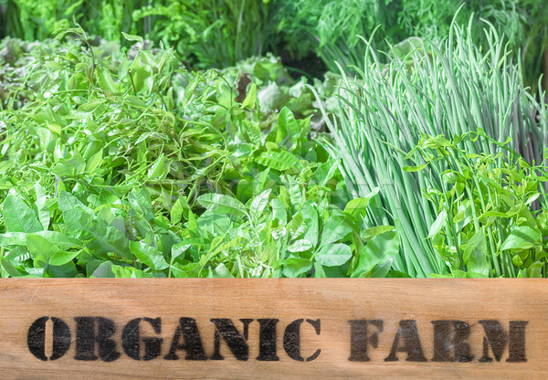 Fresh organic produce in wooden box Stock photo © stoonn