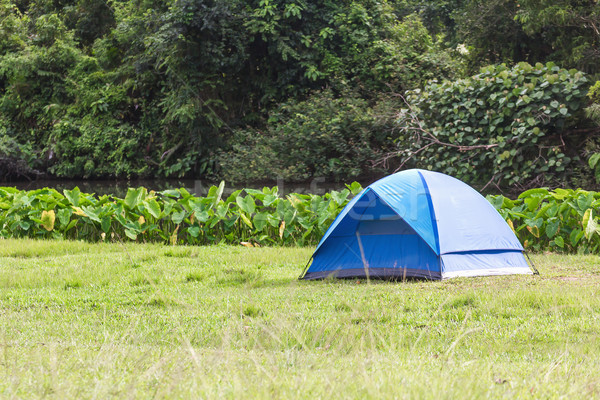 Blue tourist tents in forest Stock photo © stoonn