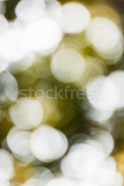 Geel bokeh abstract wazig lichten licht Stockfoto © stoonn