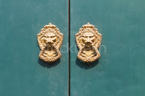 Door knocker lion head Stock photo © stoonn