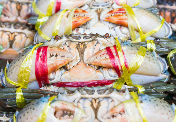 Negru crab noroi proaspăt piaţă Imagine de stoc © stoonn