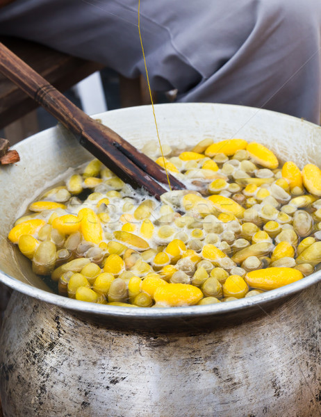 Boiling cocoon in a pot Stock photo © stoonn