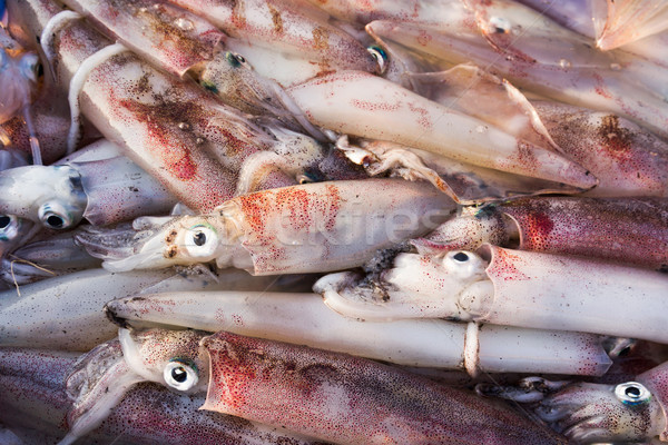 新鮮な イカ クローズアップ シーフード 市場 食品 ストックフォト © stoonn
