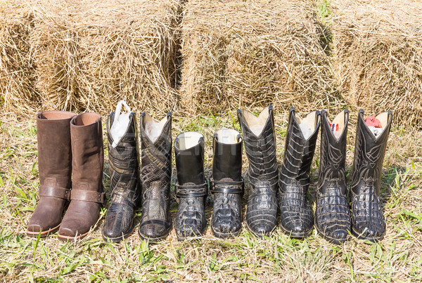 Crocodile cowboy leather boots  Stock photo © stoonn
