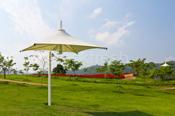 Aire libre jardín árbol hierba vino madera Foto stock © stoonn